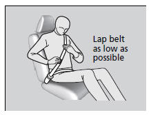 Fastening a Seat Belt