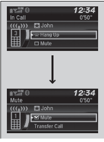 Options During a Call