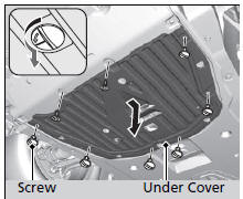 Changing the Engine Oil and Oil Filter