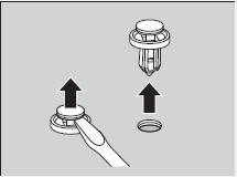 Fog Light Bulbs