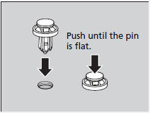 Fog Light Bulbs