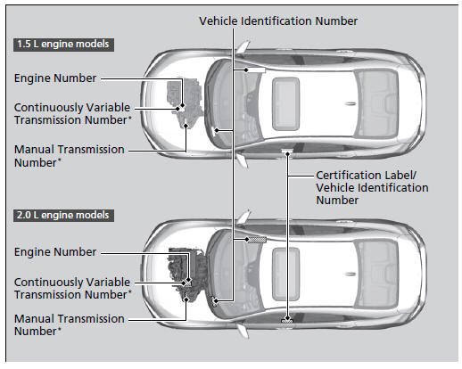 Identification Numbers